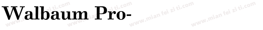 Walbaum Pro字体转换